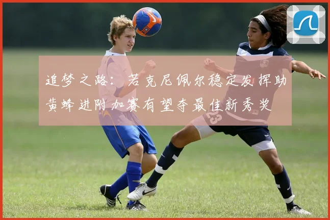 追梦之路：若克尼佩尔稳定发挥助黄蜂进附加赛有望夺最佳新秀奖
