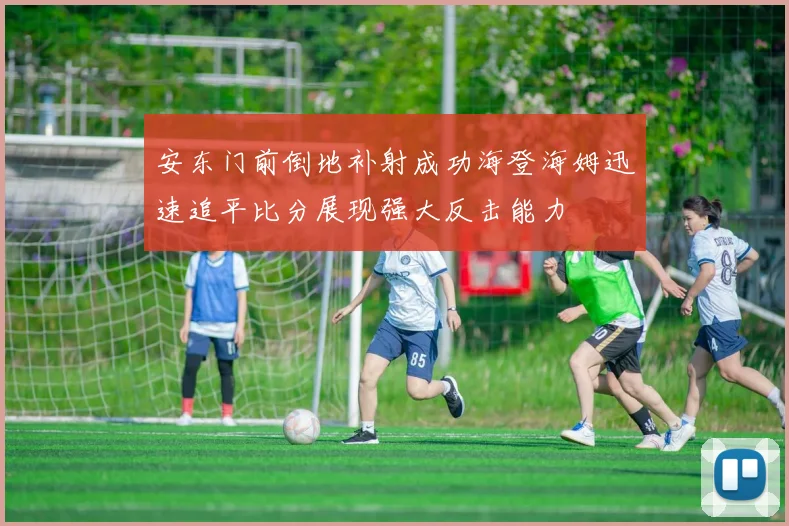 安东门前倒地补射成功海登海姆迅速追平比分展现强大反击能力
