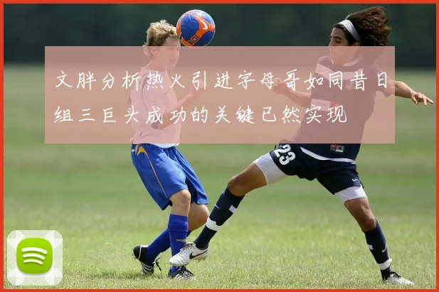 文胖分析热火引进字母哥如同昔日组三巨头成功的关键已然实现