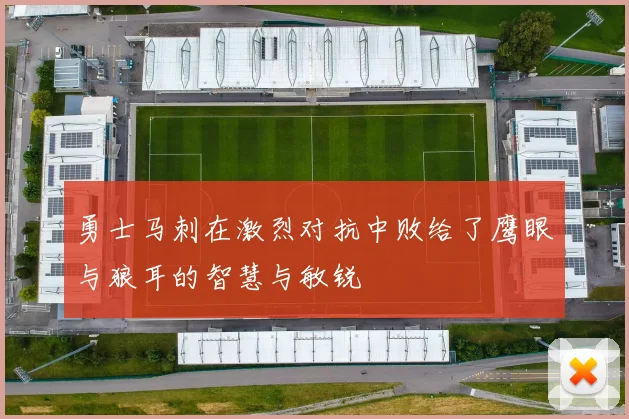 勇士马刺在激烈对抗中败给了鹰眼与狼耳的智慧与敏锐