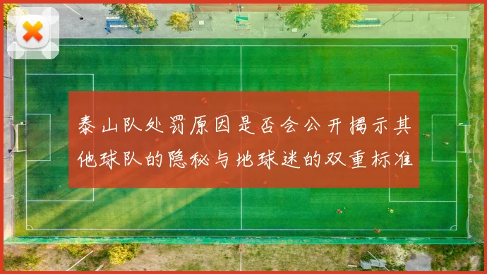 泰山队处罚原因是否会公开揭示其他球队的隐秘与地球迷的双重标准